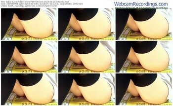 sakuralive-hiyokosss-08-20-2024-08-52-41