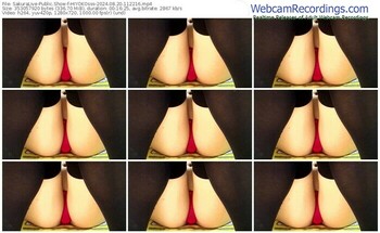 sakuralive-hiyokosss-08-20-2024-11-22-16