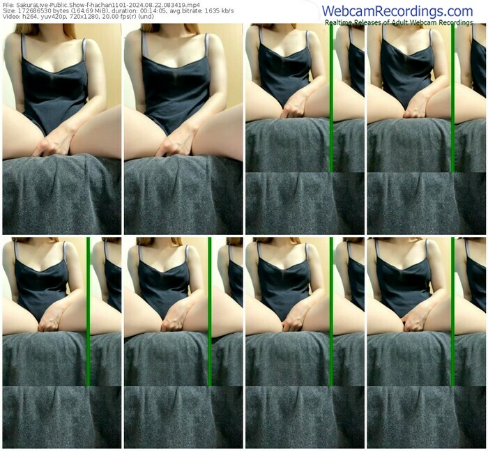 sakuralive-hachan1101-08-22-2024-08-34-19