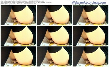 sakuralive-hiyokosss-08-23-2024-17-51-41