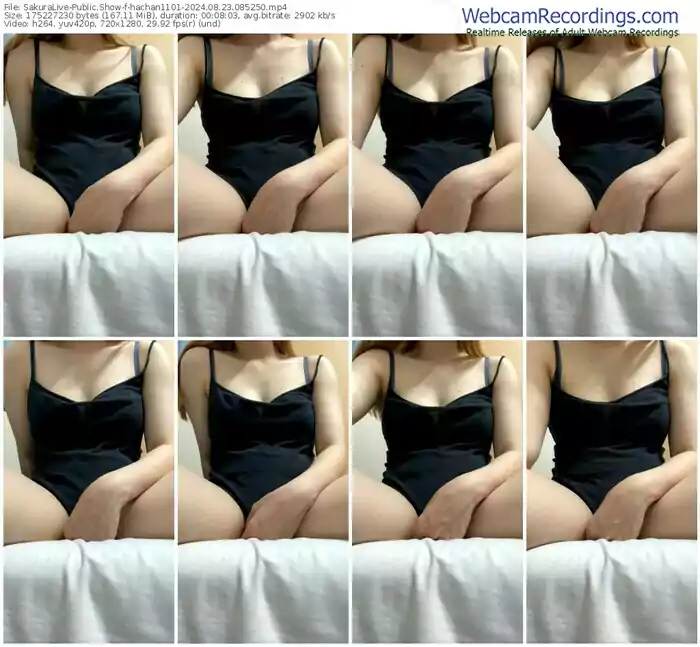 sakuralive-hachan1101-08-23-2024-08-52-50