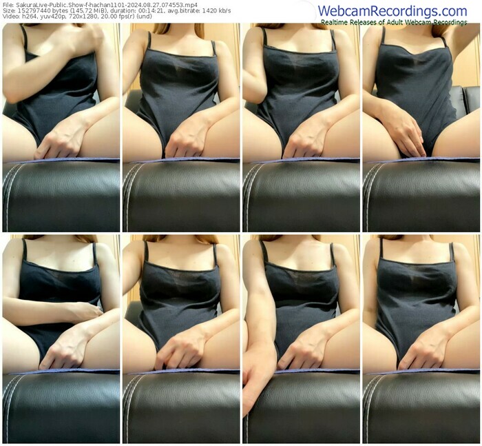 sakuralive-hachan1101-08-27-2024-07-45-53