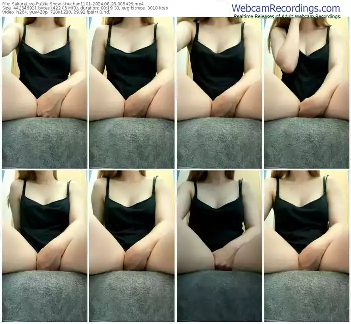 sakuralive-hachan1101-08-28-2024-00-54-26