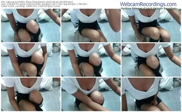 sakuralive-harukannn-08-29-2024-23-19-59