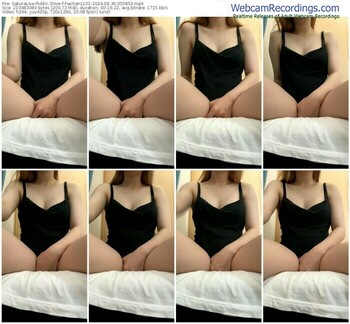 sakuralive-hachan1101-08-30-2024-05-58-53