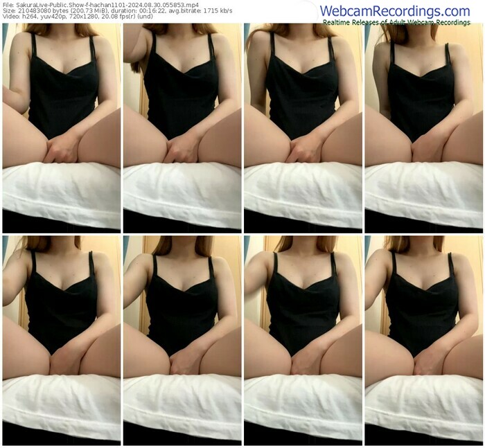 sakuralive-hachan1101-08-30-2024-05-58-53