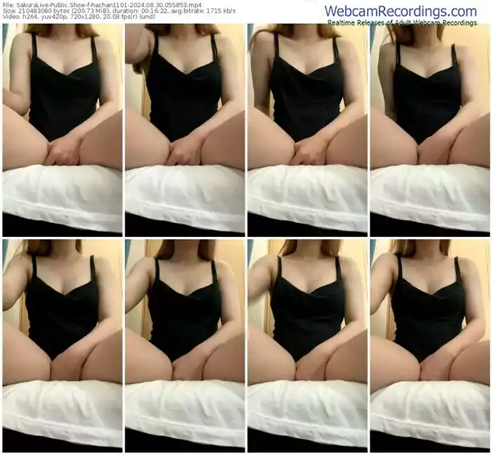 sakuralive-hachan1101-08-30-2024-05-58-53