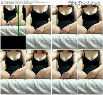 sakuralive-hachan1101-08-30-2024-10-04-36