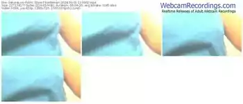 sakuralive-koidemari-09-01-2024-11-00-02