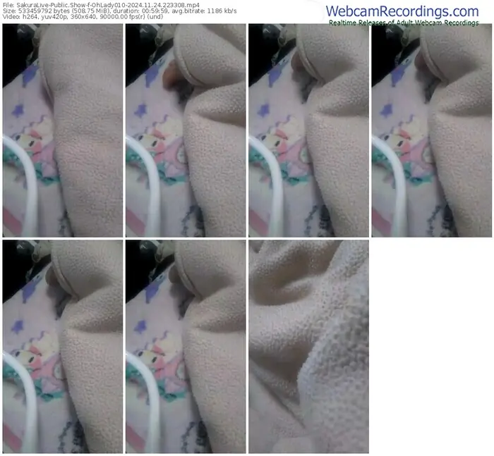 sakuralive-ohlady010-11-24-2024-22-33-08