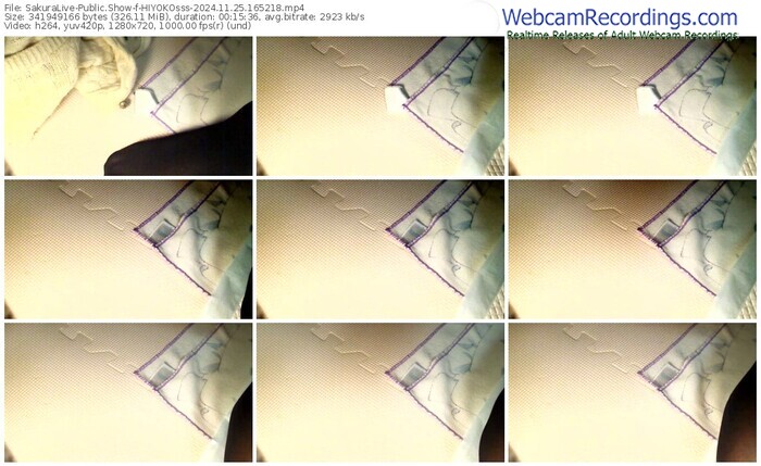 sakuralive-hiyokosss-11-25-2024-16-52-18