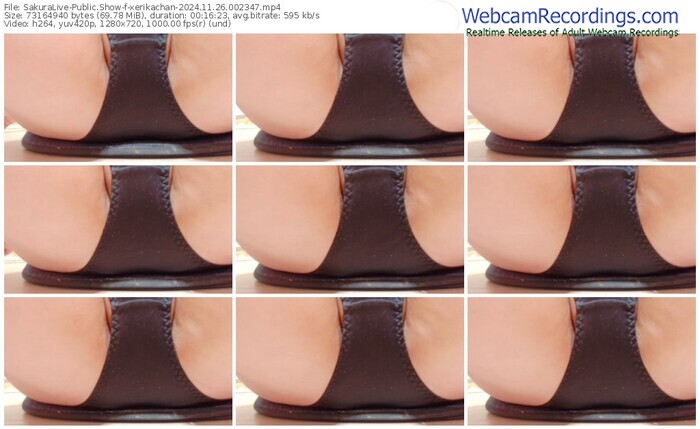 sakuralive-xerikachan-11-26-2024-00-23-47