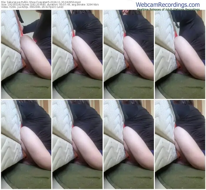 sakuralive-sayatan5-11-30-2024-04-29-50