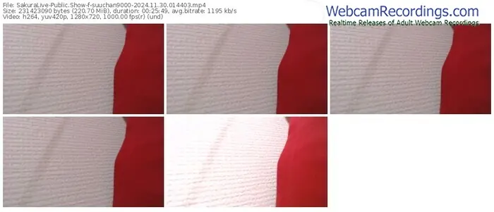 sakuralive-suuchan9000-11-30-2024-01-44-03