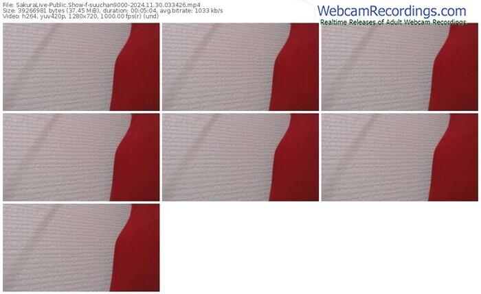 sakuralive-suuchan9000-11-30-2024-03-34-26