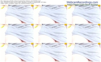 sakuralive-xerikachan-11-30-2024-00-46-55