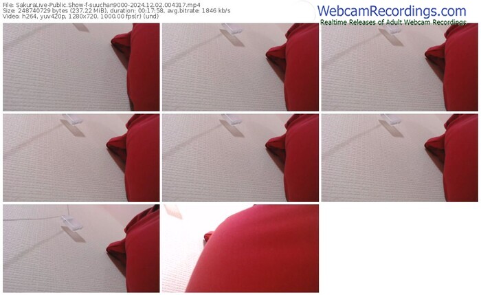 sakuralive-suuchan9000-12-02-2024-00-43-17