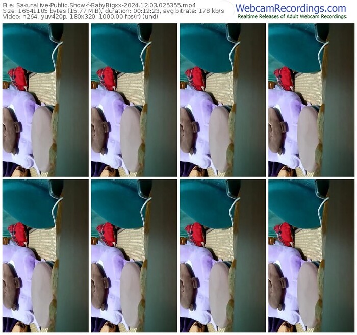 sakuralive-babybigxx-12-03-2024-02-53-55