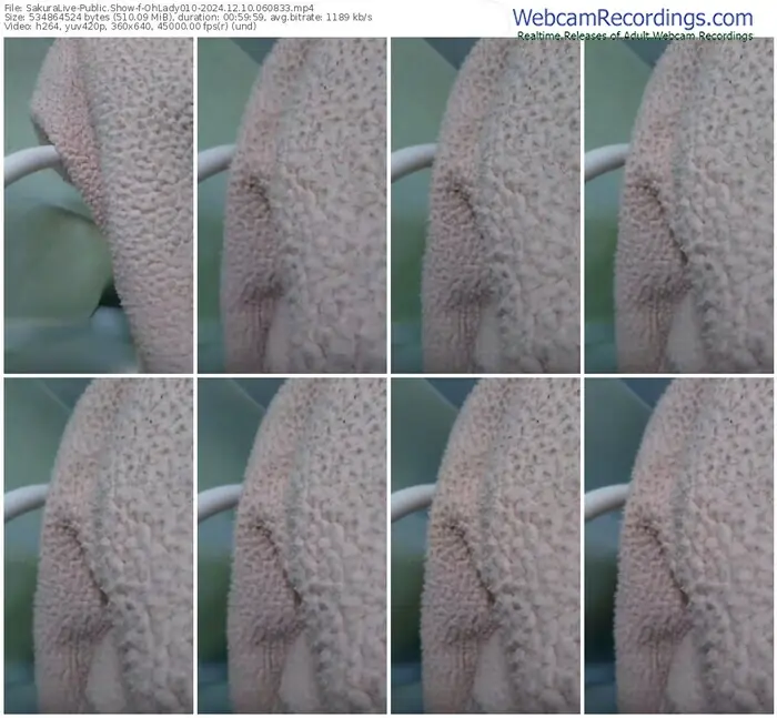 sakuralive-ohlady010-12-10-2024-06-08-33