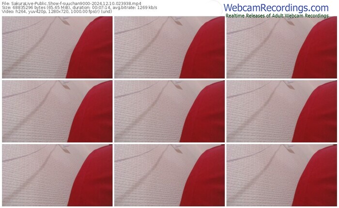 sakuralive-suuchan9000-12-10-2024-02-39-38