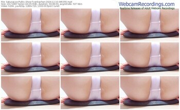 sakuralive-xerikachan-12-10-2024-08-53-55