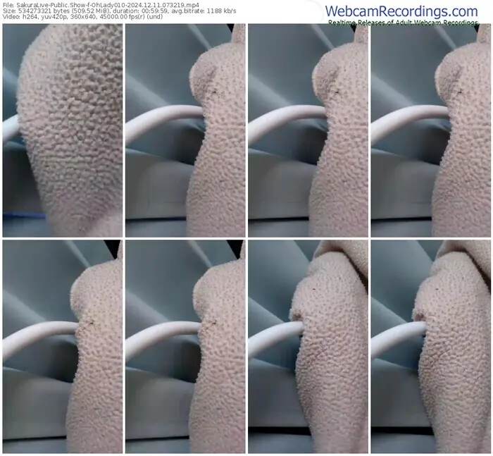 sakuralive-ohlady010-12-11-2024-07-32-19