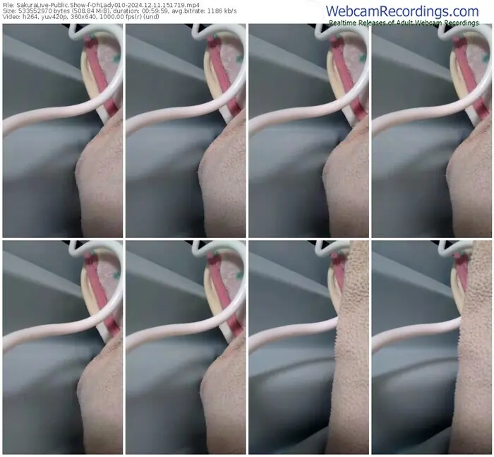 sakuralive-ohlady010-12-11-2024-15-17-19