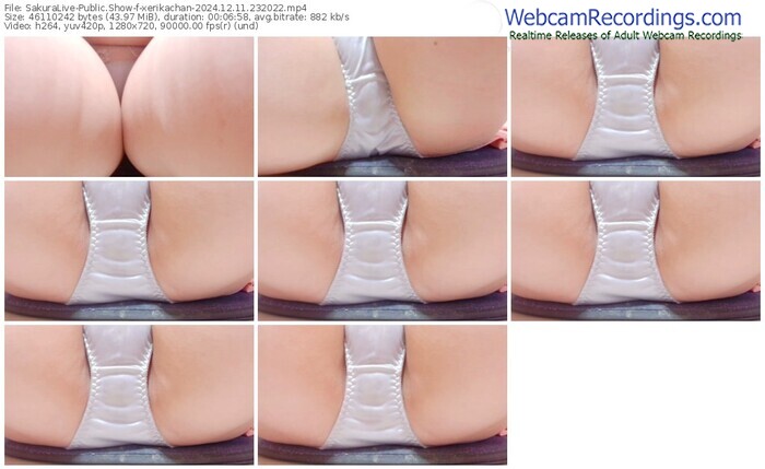 sakuralive-xerikachan-12-11-2024-23-20-22