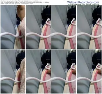 sakuralive-ohlady010-12-13-2024-22-48-28