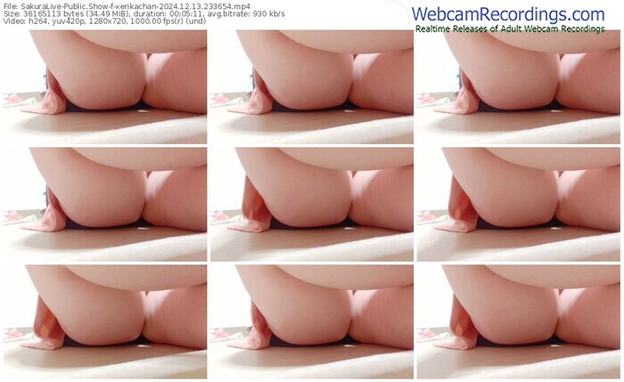 sakuralive-xerikachan-12-13-2024-23-36-54