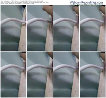 sakuralive-ohlady010-12-14-2024-01-08-30