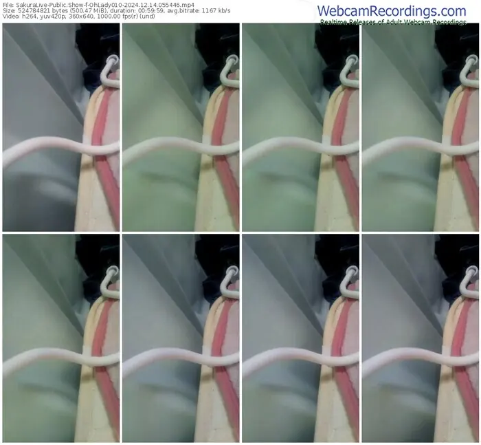 sakuralive-ohlady010-12-14-2024-05-54-46