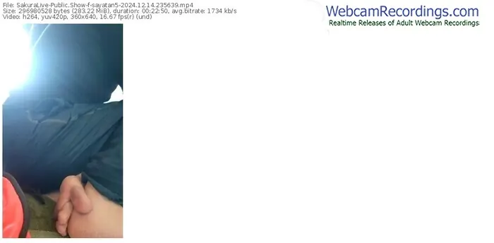 sakuralive-sayatan5-12-14-2024-23-56-39