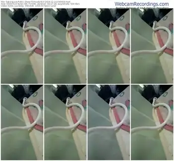 sakuralive-ohlady010-12-16-2024-04-44-03