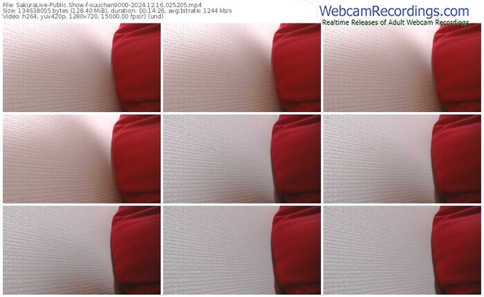 sakuralive-suuchan9000-12-16-2024-02-52-05