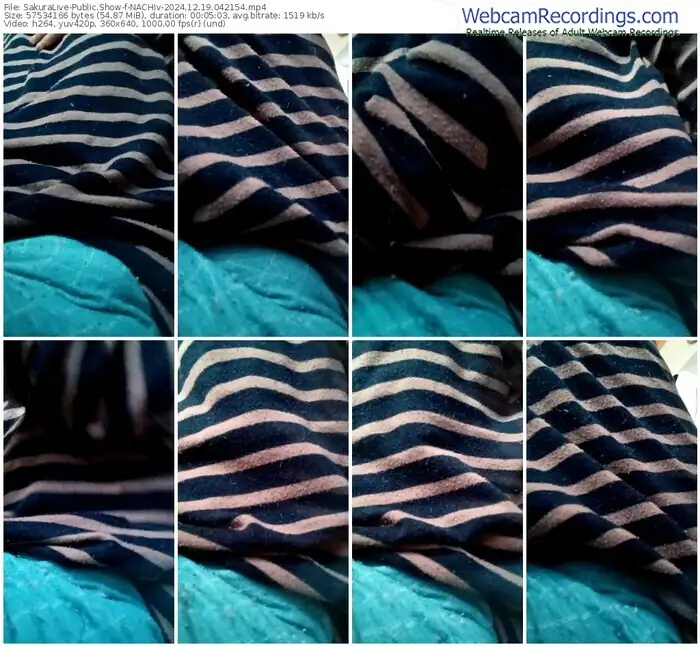 sakuralive-nachiv-12-19-2024-04-21-54