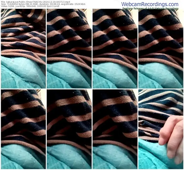 sakuralive-nachiv-12-19-2024-04-37-13