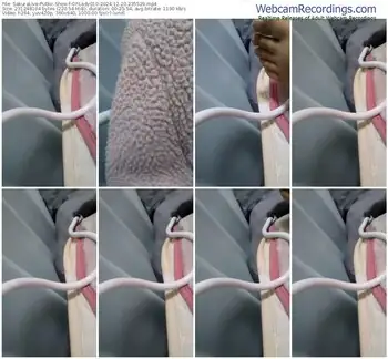 sakuralive-ohlady010-12-20-2024-23-55-29