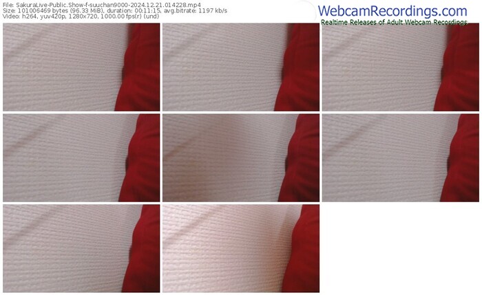 sakuralive-suuchan9000-12-21-2024-01-42-28