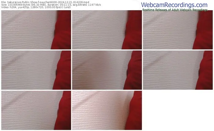 sakuralive-suuchan9000-12-21-2024-01-42-28