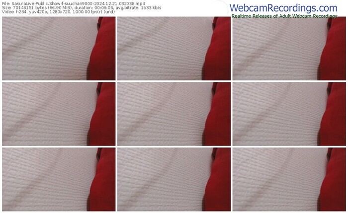 sakuralive-suuchan9000-12-21-2024-03-23-38