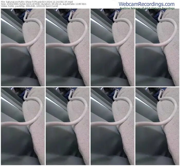 sakuralive-ohlady010-12-24-2024-03-11-37