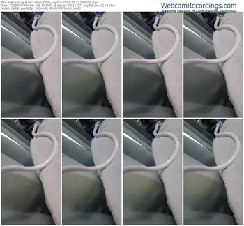 sakuralive-ohlady010-12-24-2024-06-49-51