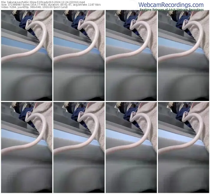 sakuralive-ohlady010-12-24-2024-22-23-10