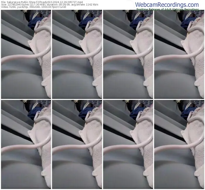 sakuralive-ohlady010-12-26-2024-09-57-27