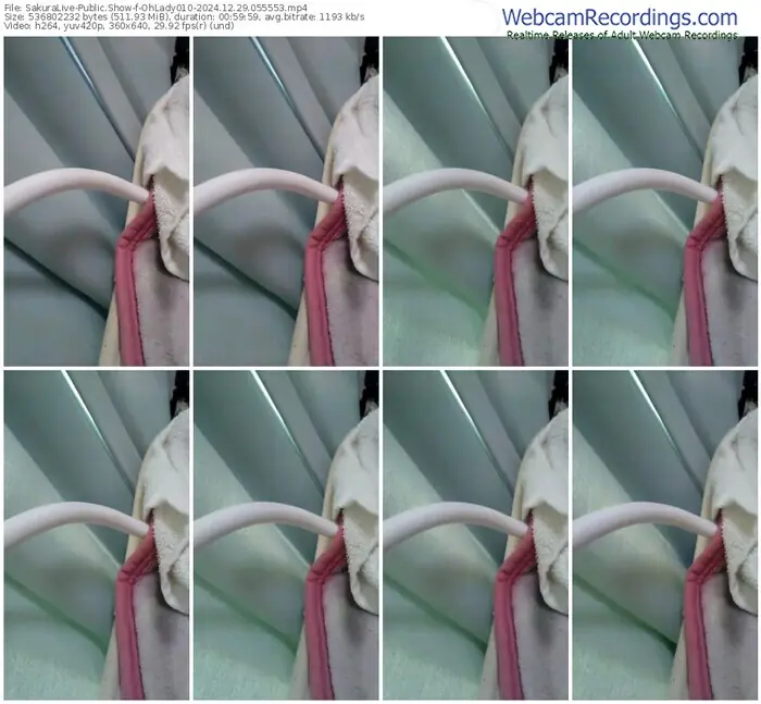 sakuralive-ohlady010-12-29-2024-05-55-53