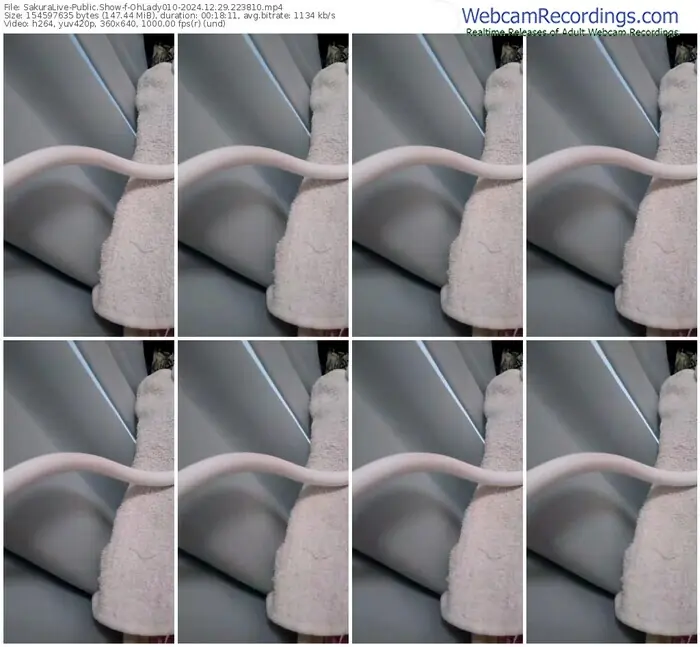 sakuralive-ohlady010-12-29-2024-22-38-10