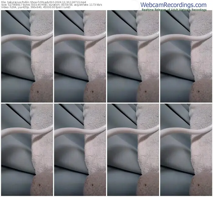 sakuralive-ohlady010-12-30-2024-12-47-13