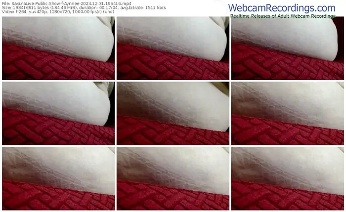 sakuralive-aynnee-12-31-2024-19-54-16