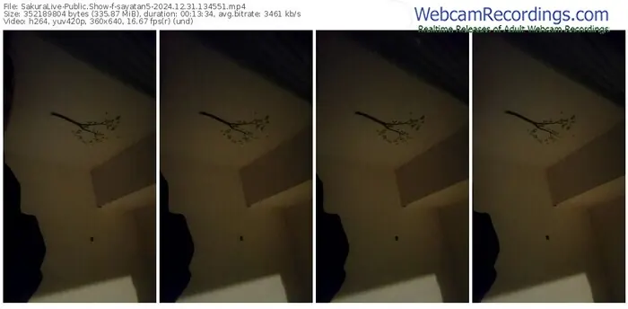 sakuralive-sayatan5-12-31-2024-13-45-51